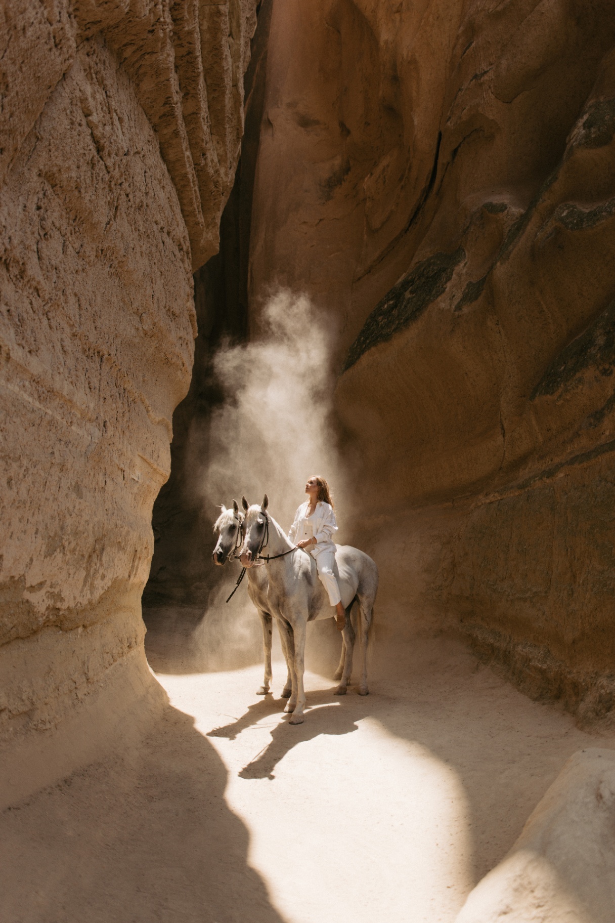 Canyon Horses